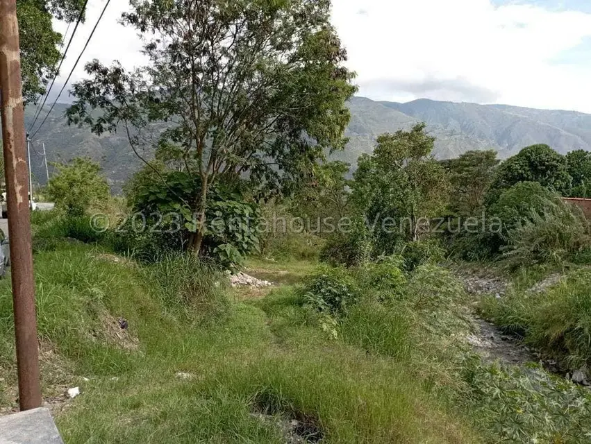 Terreno (Comercial) en Venta en Salado Bajo, Merida - 10