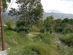 Vista 10