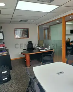 Vista 4