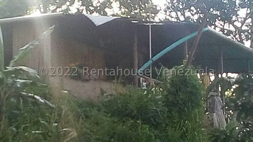 Terreno (Finca) en Venta en Turgua, Distrito Metropolitano - 12