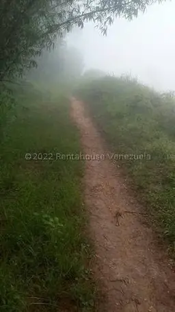View 16