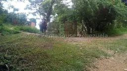 View 4