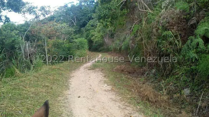 Terreno (Finca) en Venta en Turgua, Distrito Metropolitano - 5