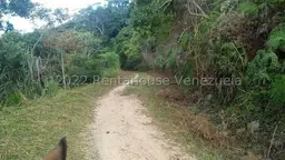 View 5
