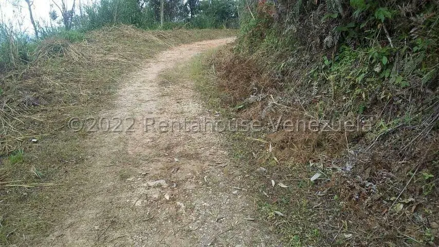 Terreno (Finca) en Venta en Turgua, Distrito Metropolitano - 7
