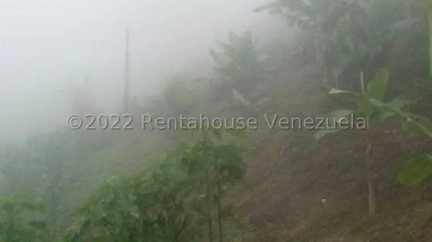 Terreno (Finca) en Venta en Turgua, Distrito Metropolitano - 9