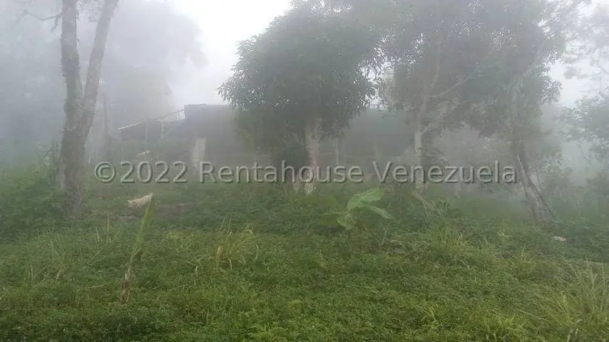 Terreno (Finca) en Venta en Turgua, Distrito Metropolitano - 10