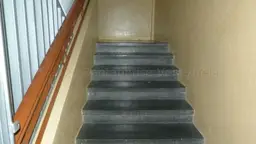 Vista 11
