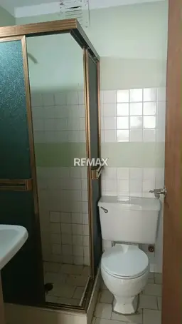 Vista 5