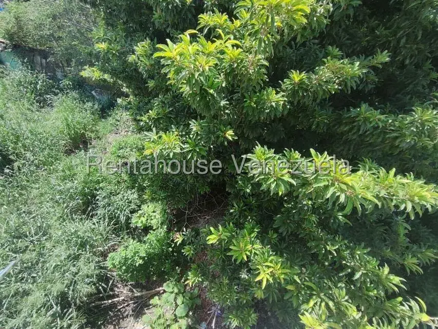 Terreno (Residencial) en Venta en Centro, Aragua - 10