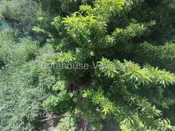 View 10