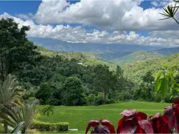 View 6