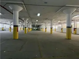 Vista 19