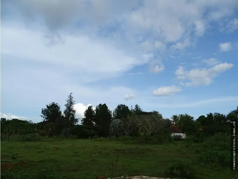 Terreno TCL T en Sabana del Medio: Turístico, Agrícola y Ganadero