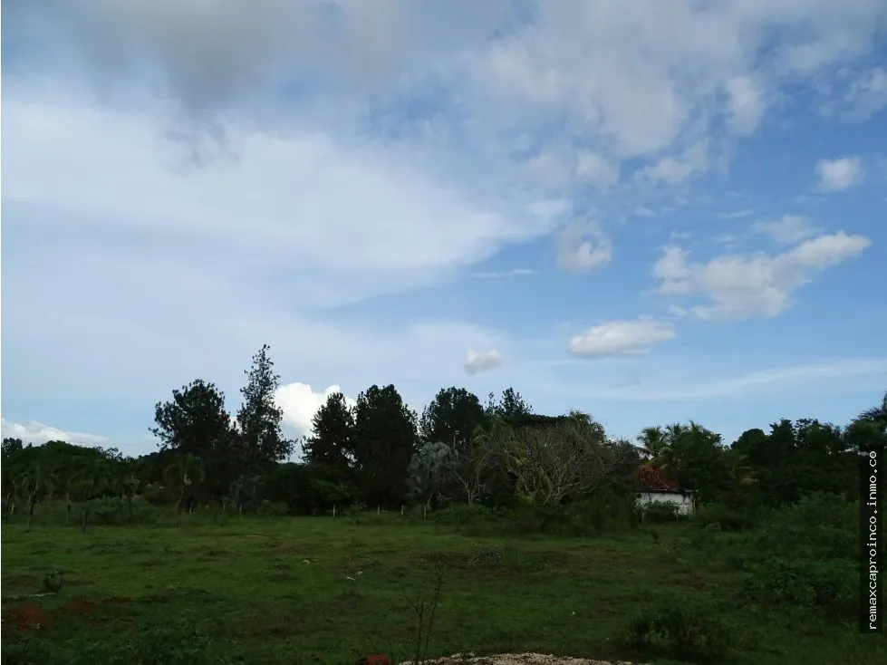 Terreno TCL T en Sabana del Medio: Turístico, Agrícola y Ganadero