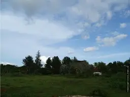 Vista 1