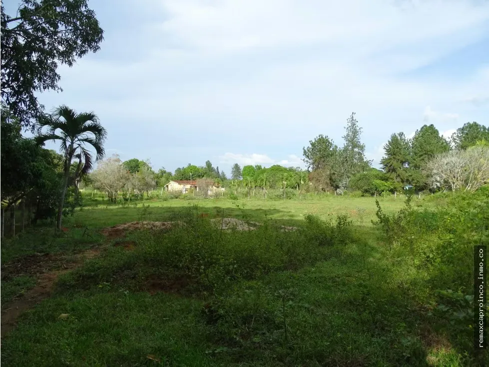 Terreno TCL T en Sabana del Medio: Turístico, Agrícola y Ganadero - 2