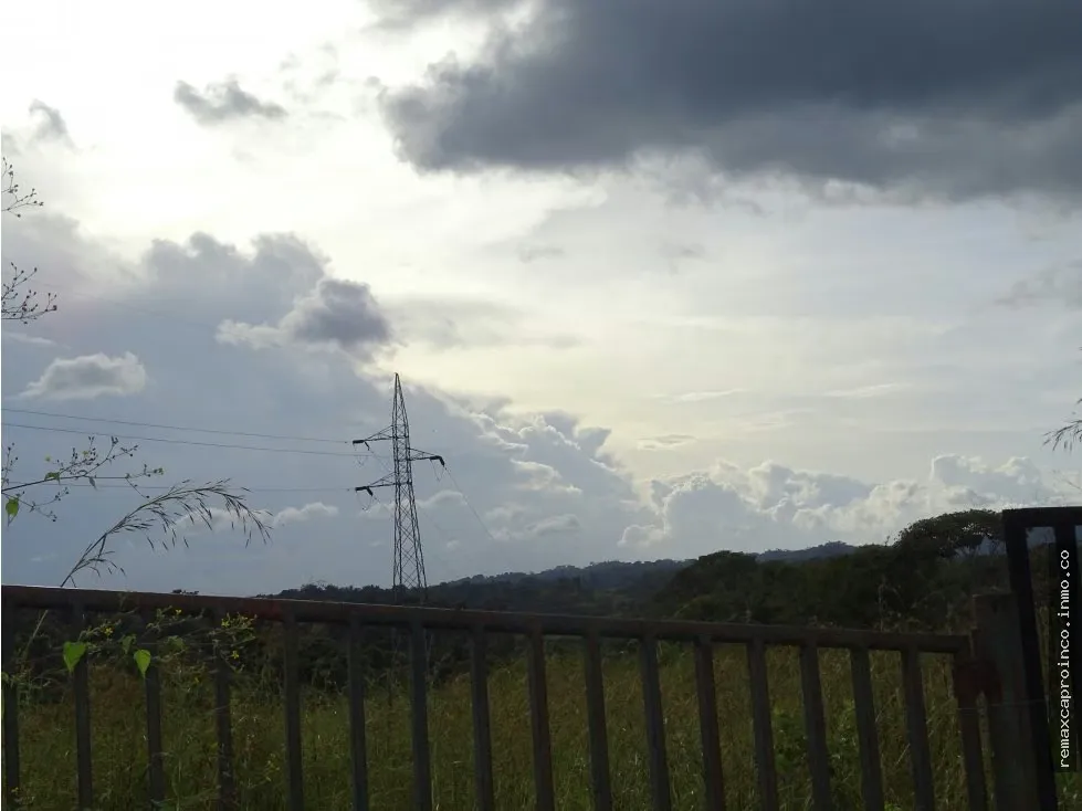 Terreno TCL T en Sabana del Medio: Turístico, Agrícola y Ganadero - 3