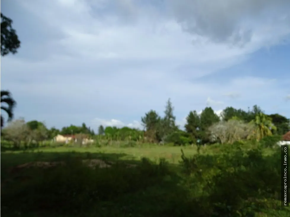 Terreno TCL T en Sabana del Medio: Turístico, Agrícola y Ganadero - 4