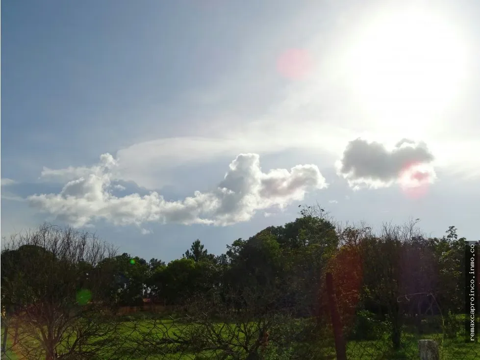 Terreno TCL T en Sabana del Medio: Turístico, Agrícola y Ganadero - 5