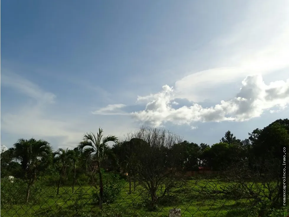 Terreno TCL T en Sabana del Medio: Turístico, Agrícola y Ganadero - 6