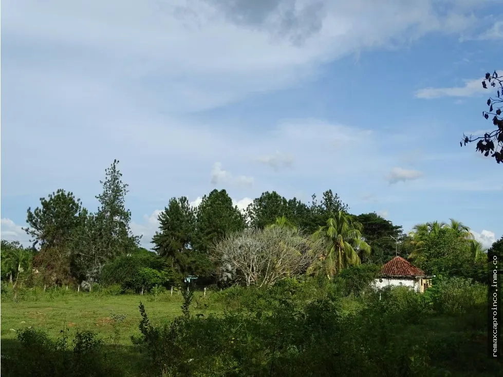 Terreno TCL T en Sabana del Medio: Turístico, Agrícola y Ganadero - 8