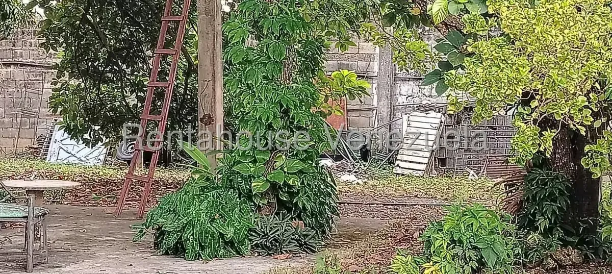 Casa (1 Nivel) en Venta en Municipio Peña, Yaracuy - 9