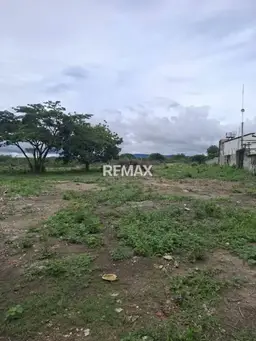 Vista 4