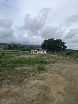 Vista 5