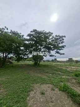 Vista 6