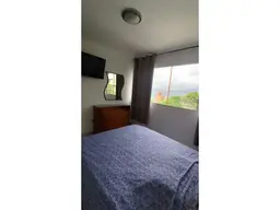 Vista 14