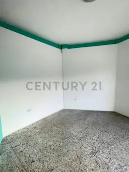 Vista 3