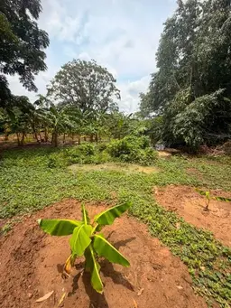 View 10