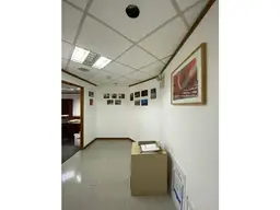 Vista 6