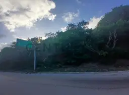 Vista 4