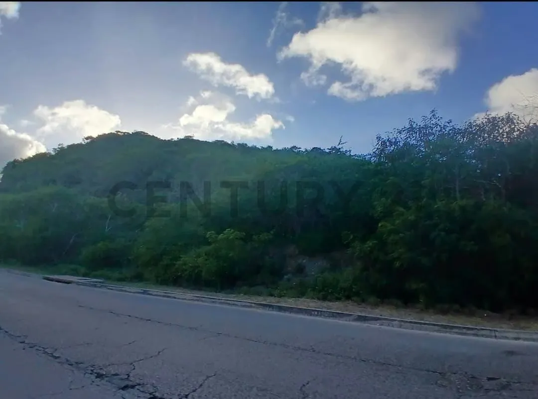 Terreno en La Asuncion - 6