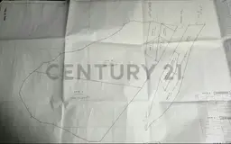 Vista 10