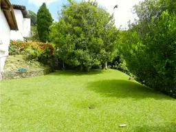 Vista 15