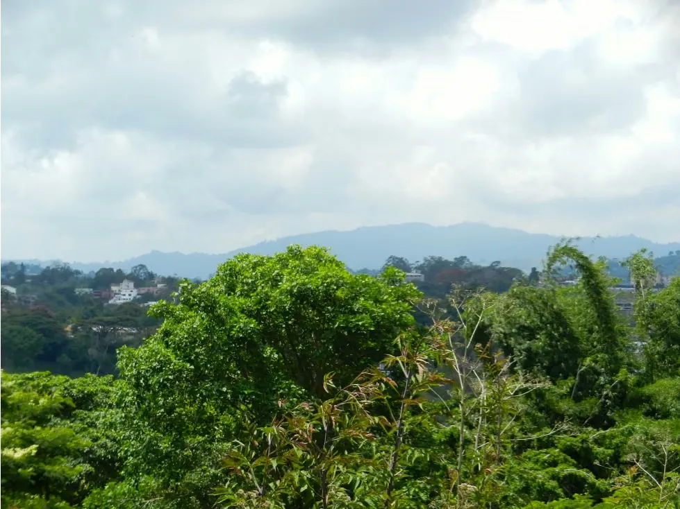 Se vende casa 900m2 7h+s/7b+s/10p La Lagunita 9378 - 18