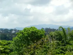 Vista 18