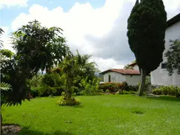 Vista 19