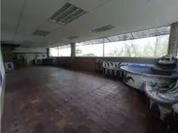 View 15