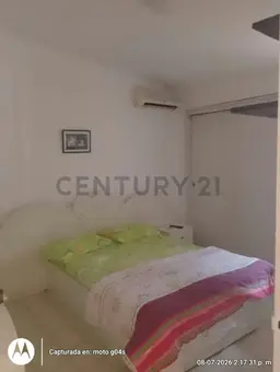 Vista 15
