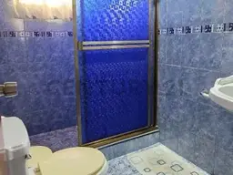 Vista 15