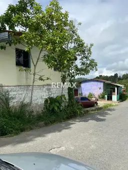 Vista 3