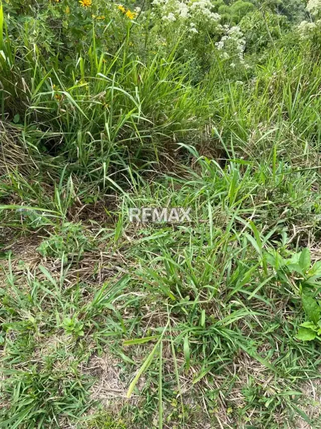 venta de terreno para desarrollar en sabaneta en el hatillo - 4