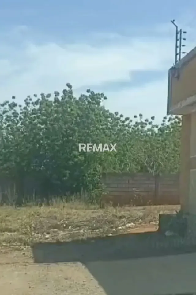Se vende terreno sector las acacias los Puertos de Altagracia - 3