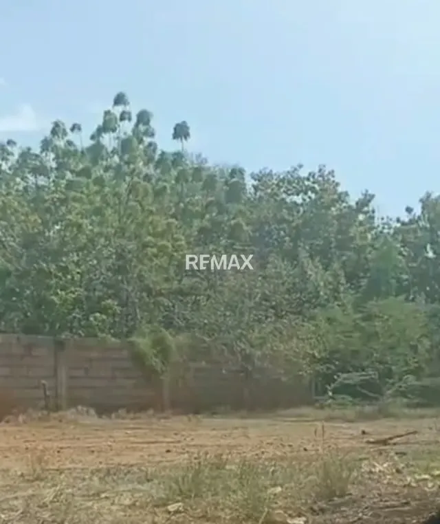 Se vende terreno sector las acacias los Puertos de Altagracia - 5