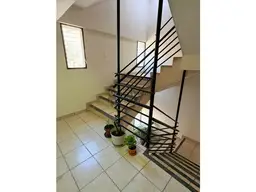 Vista 25