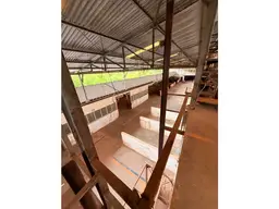 View 10